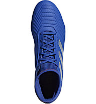 adidas Predator 19.3 FG - scarpe calcio terreni compatti, Blue/Silver