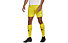 adidas Squad 21 - pantaloncini calcio - uomo, Yellow