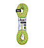 Beal Legend 8,3 mm - Halbseil, Green