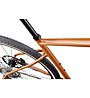 Cannondale Topstone Apex 1 - bici gravel, Brown