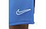 Nike Dri-FIT Academy - Fußballhose kurz - Herren, Blue