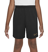 Nike Dri-FIT Academy 23 - Fußballshorts - Jungs, Black