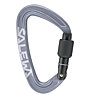 Salewa Ortles Screw - Karabiner, Grey