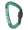 Salewa Ortles Screw - Karabiner, Green