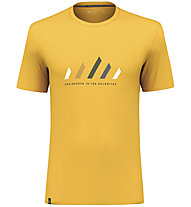 Salewa Pure Stripes Dry W - T-shirt - uomo, Yellow