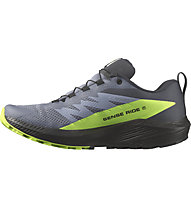 Salomon Sense Ride 5 GTX - scarpe trail running - uomo, Grey/Green