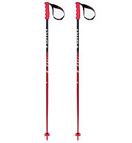 Speedstick - bastoncini sci alpino