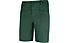 Wild Country Stamina M - pantaloni corti arrampicata - uomo, Green